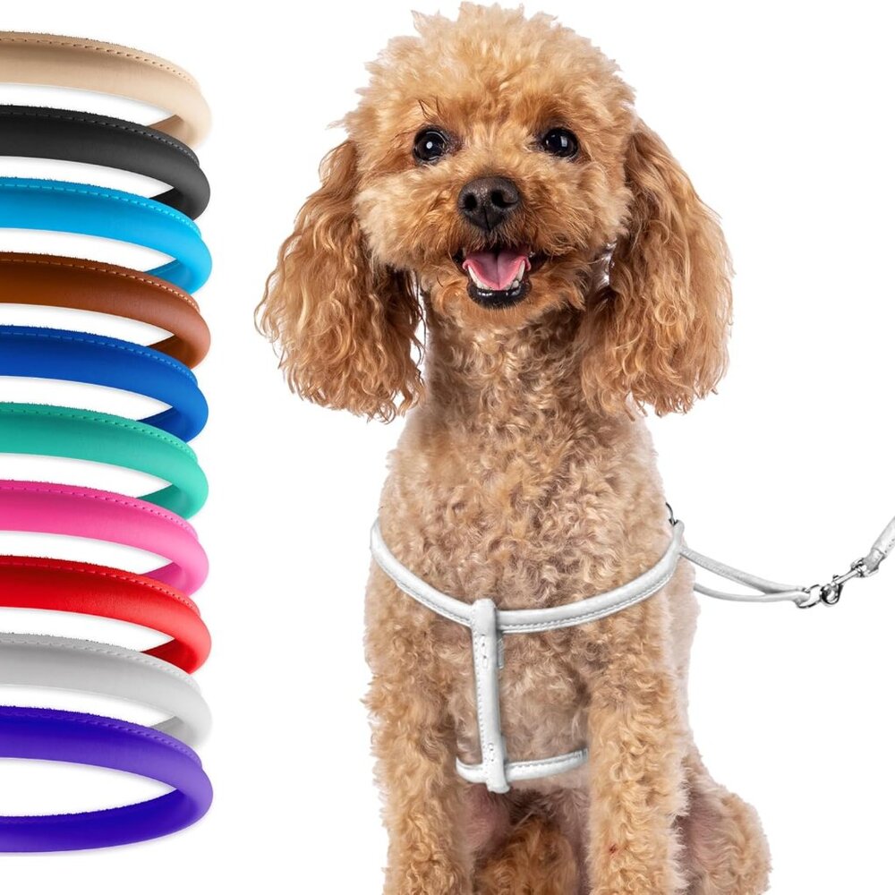 Rolled Leather Dog Harness Small Puppy Step-in Leash Lead